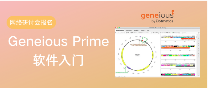 明天！Geneious软件入门网络研讨会