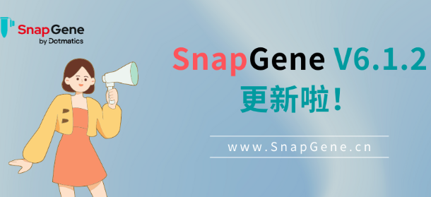 SnapGene V6.1.2 更新