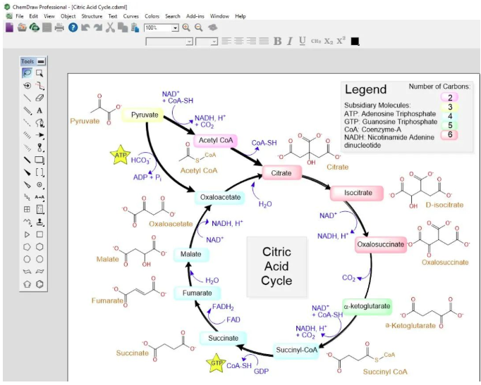 1670231001476470.png ChemDraw软件主要功能.png