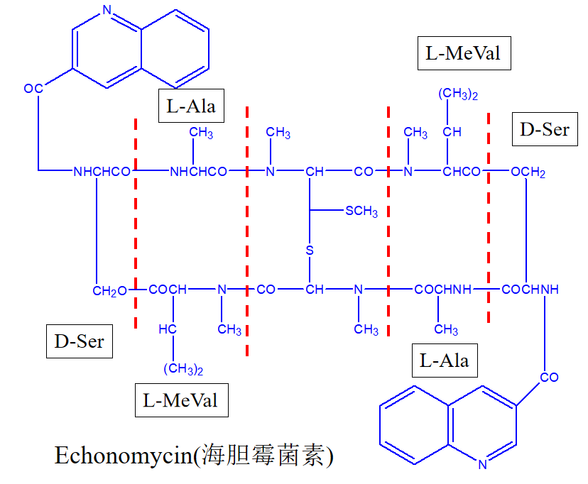 Chemdraw如何标记原子及文本说明.png Chemdraw如何标记原子及文本说明.png