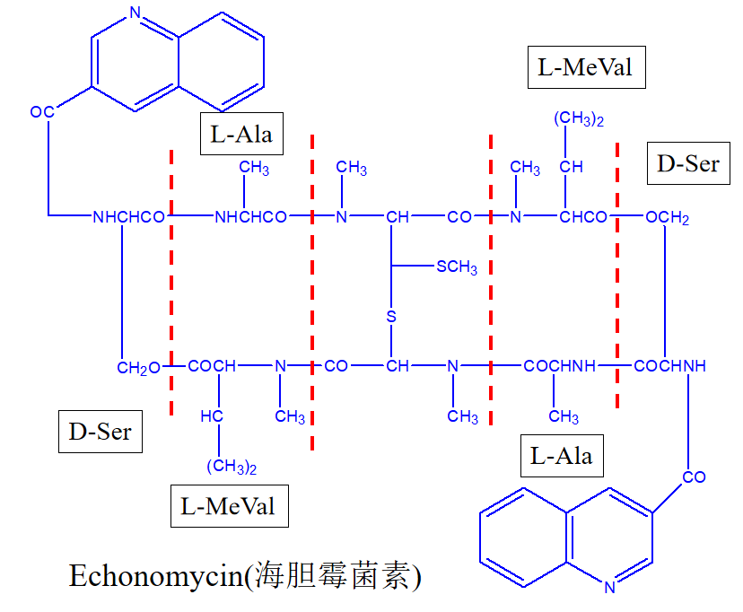 Chemdraw如何标记原子及文本说明