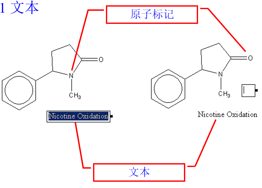 Chemdraw如何标记原子及文本说明.png Chemdraw如何标记原子及文本说明.png