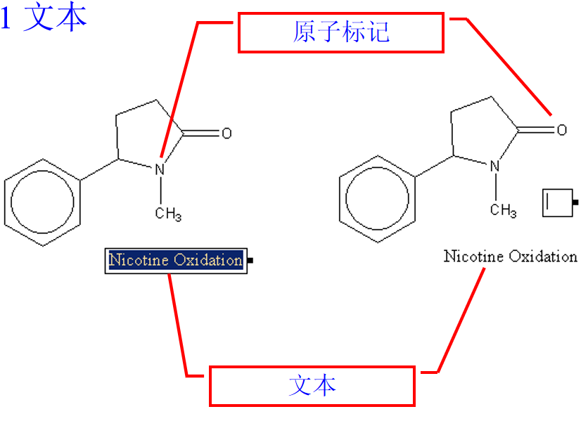 Chemdraw如何标记原子及文本说明.png