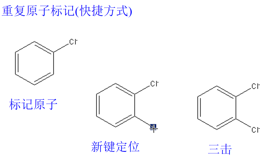 重复原子标记设置图解.png