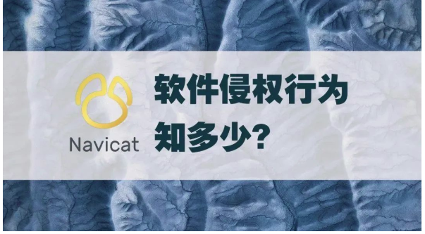 Navicat软件侵权行为知多少？