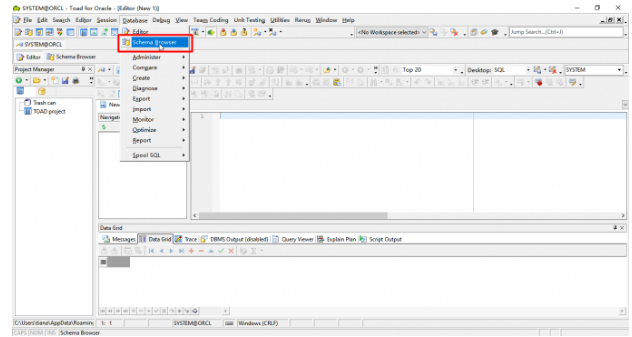 1671689691817529.png 打开Schema Browser.png