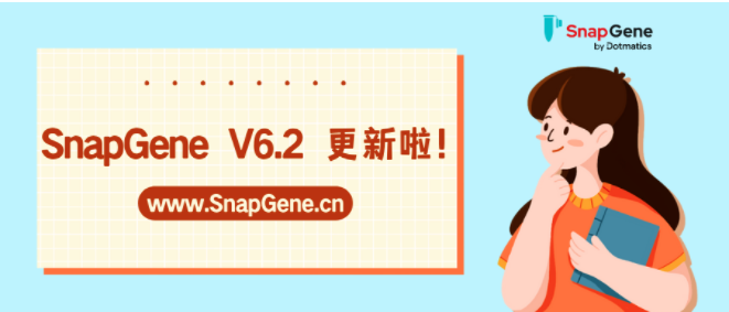 SnapGene V6.2版本.png