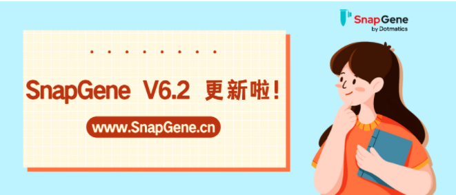 SnapGene V6.2更新啦