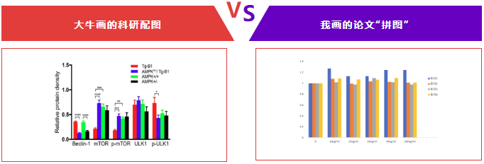 GraphPad 9.5来袭 自动生成统计图