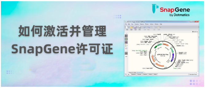 如何激活并管理SnapGene许可证？.png