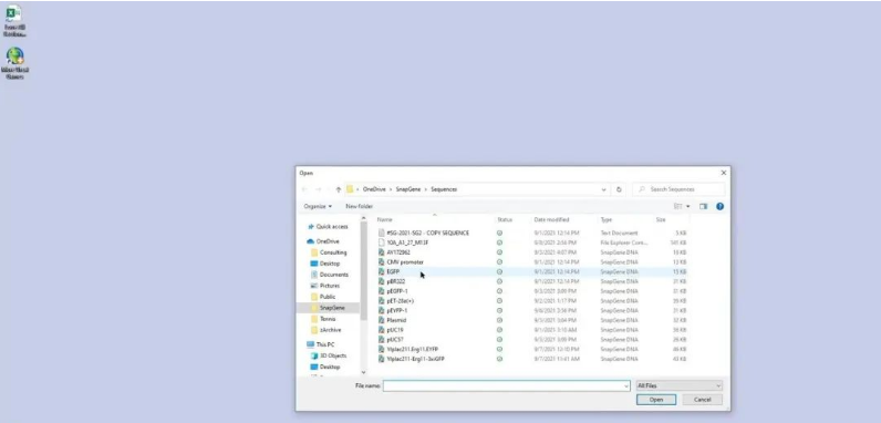 1679383171546037.png snapgene软件文件操作.png