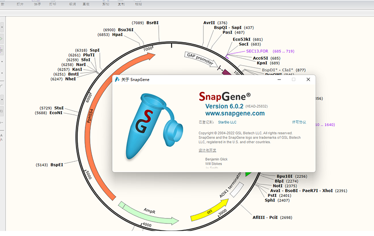 SnapGene 6.0.2 分子生物学软件 Win mac.png SnapGene 6.0.2 分子生物学软件 Win mac.png