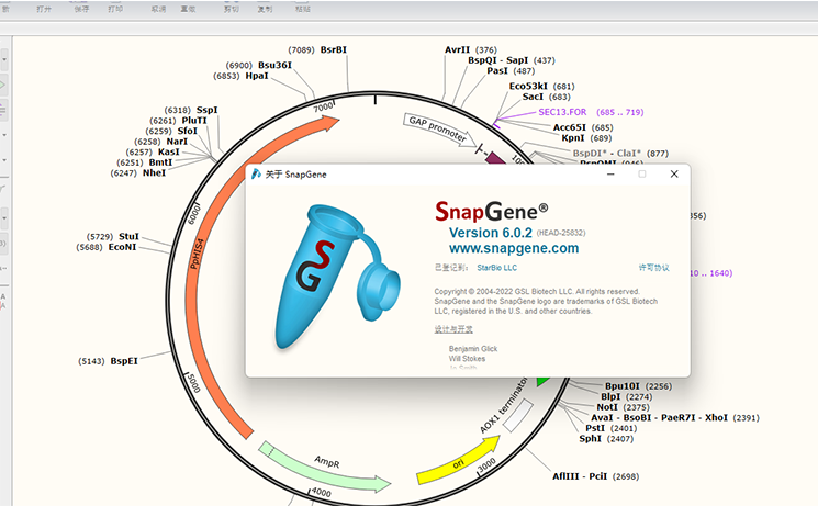 SnapGene 6.0.2 分子生物学软件 Win mac