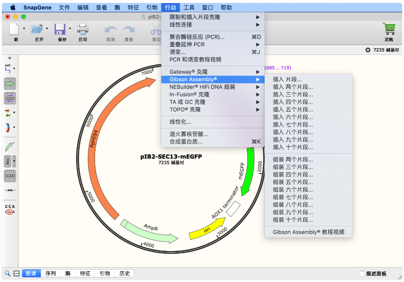 snapgene软件官网_分子克隆_分子生物学软件.png