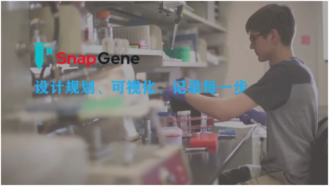 SnapGene_业内受欢迎的日常分子生物学工具