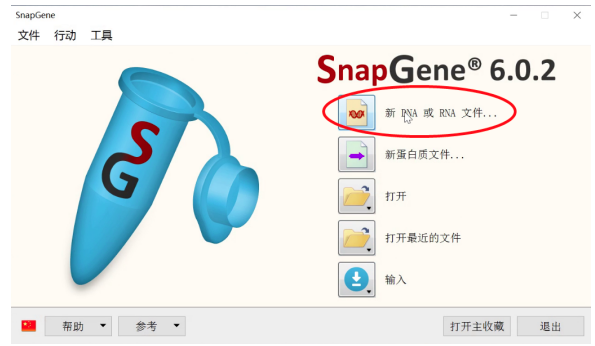 用snapgene设计引物