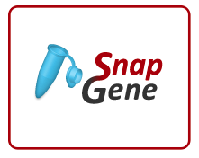 SnapGene_日常分子生物学工具