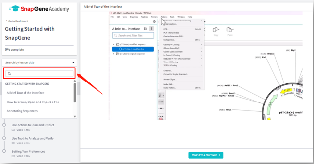 SnapGene Academy搜索功能.png