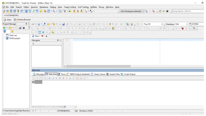 图6:SQL Editor.png