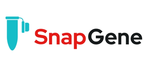 SnapGene软件如何购买.png