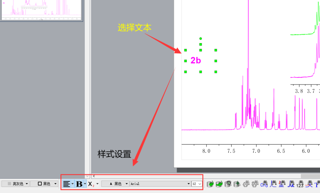 图4 MestReNova中文本样式设置选项.png