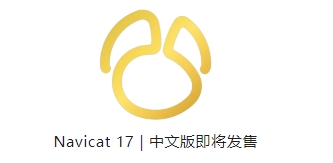 navicat.png