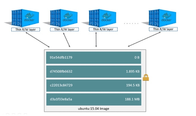 Docker使用案例