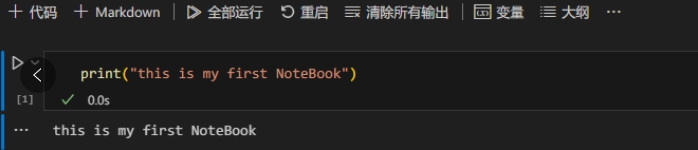 输入代码.png