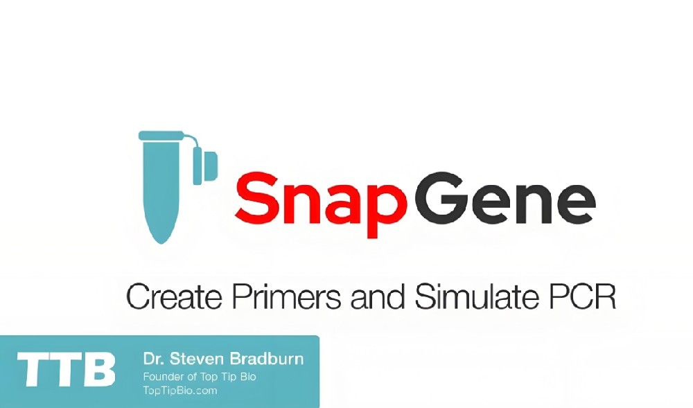 snapgene软件介绍