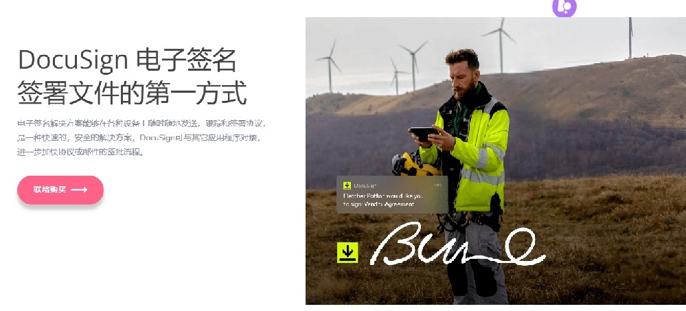 docusign电子签名是什么样的