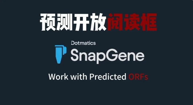 SnapGene 预测开放阅读框ORFs.png