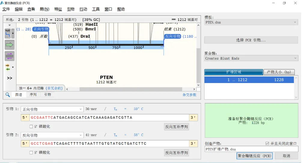 图2-3-1 PCR模拟过程.jpg