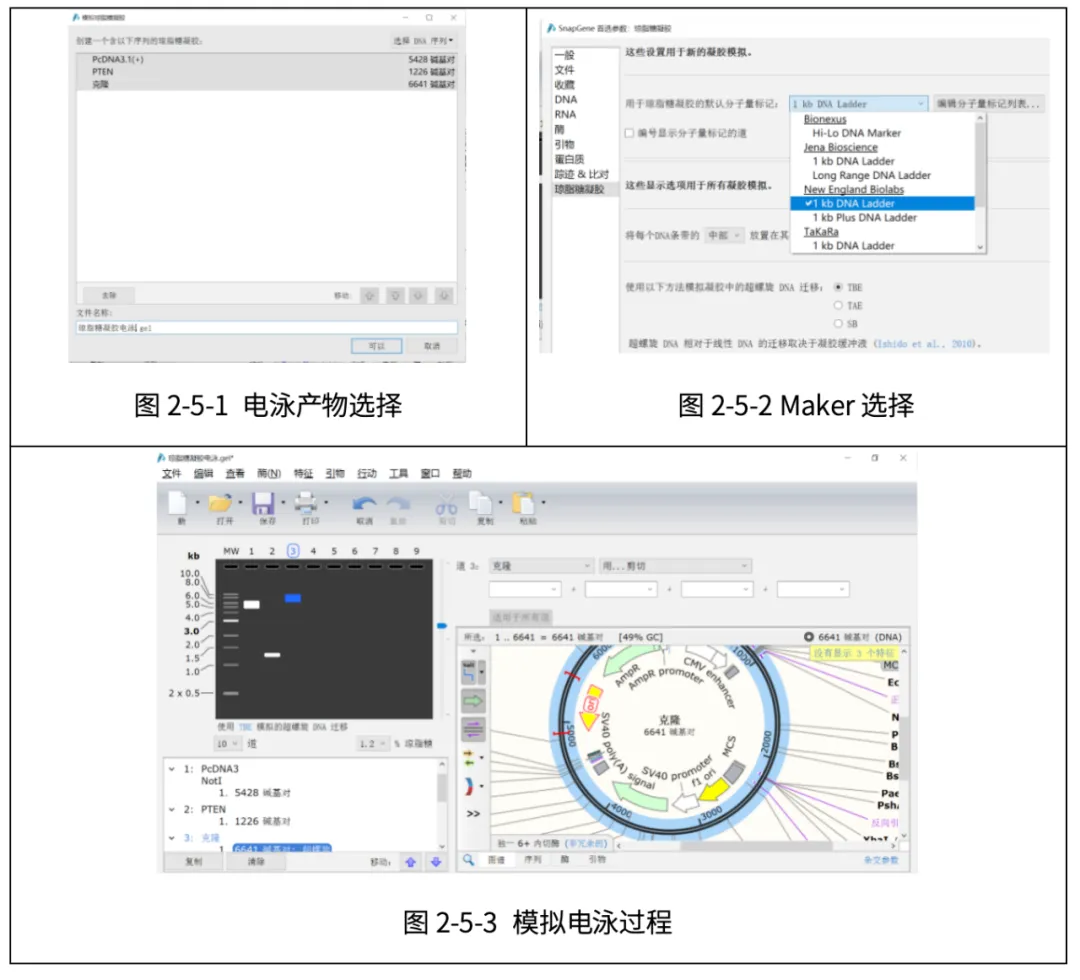 图2-5-1~3.jpg