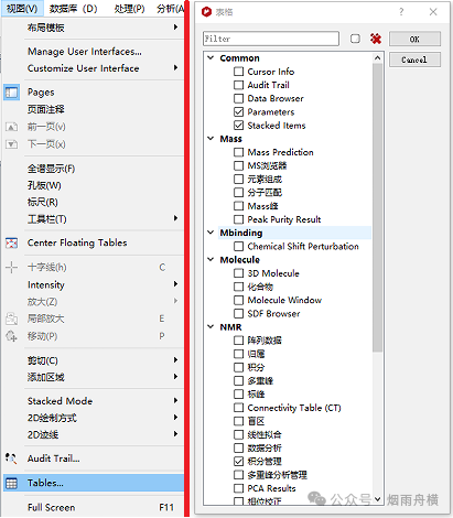 Parameters窗口.png